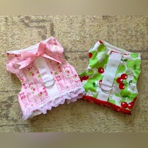 Dog halters. Fully washed and sanitized.